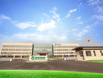008PG国际简介